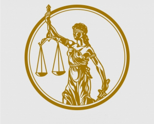 Второй кубок Юридического института АлтГУ по судебным поединкам